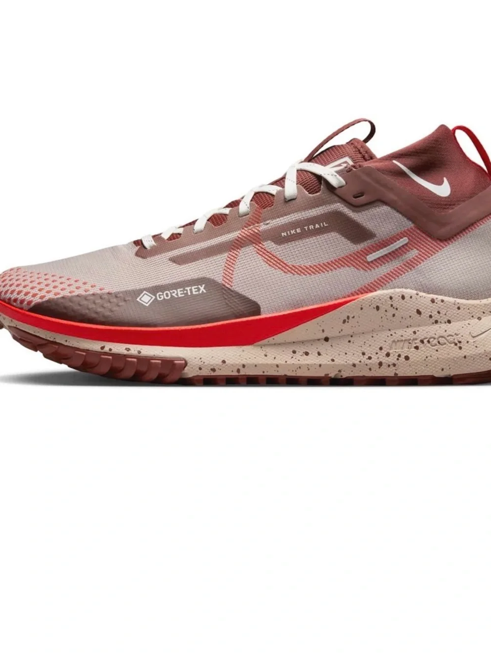 Nike Pegasus Trail 4 Gore-Tex